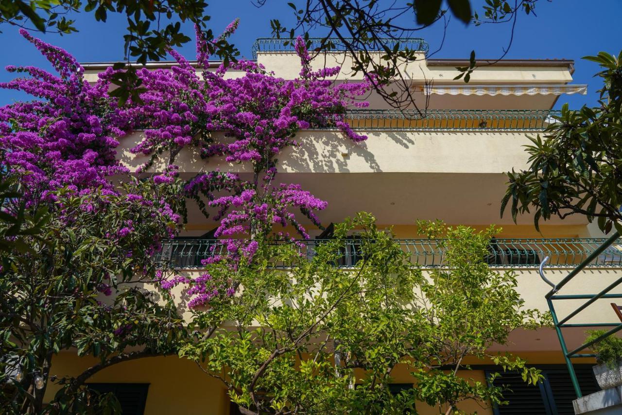 מאקרסקה Villa Lean מראה חיצוני תמונה
